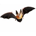 chauve souris oreillard  PVC