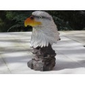 Trophée Aigle pygargue à tête blanche résine