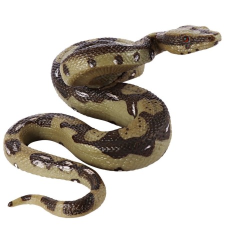 Bébé boa constrictor  PVC