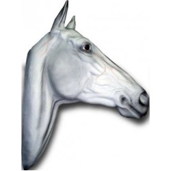 Trophée mural  tête de cheval taille réelle