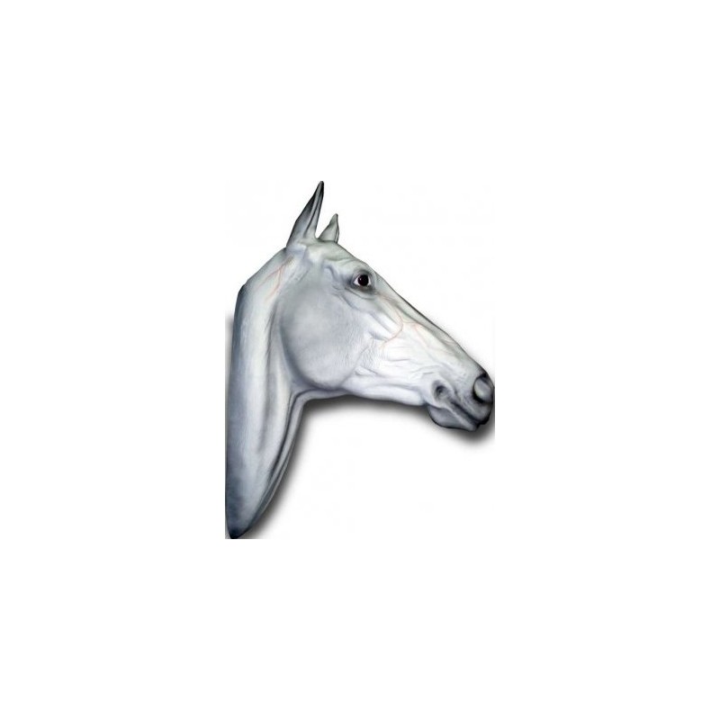 Trophée mural  tête de cheval taille réelle