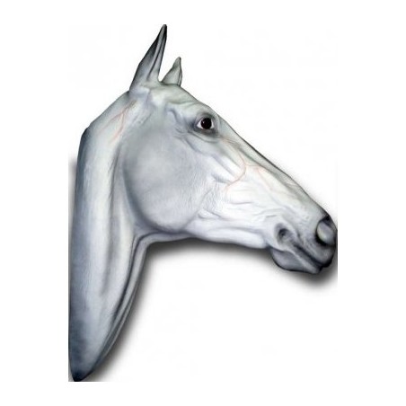 Trophée mural  tête de cheval taille réelle
