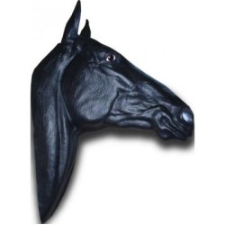 Trophée mural  tête de cheval taille réelle