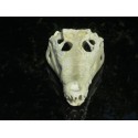 Réplique crâne  de crocodile 
