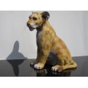 bébé lion