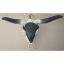 réplique crâne  bison  taille réelle en résine
