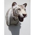 Tigre blanc
