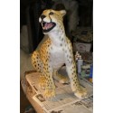 Guépard entier taille réelle