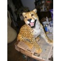 Guépard entier taille réelle