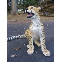 Guépard entier taille réelle