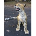 Guépard entier taille réelle