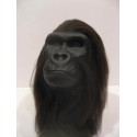 Tête gorille