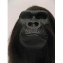 Tête gorille