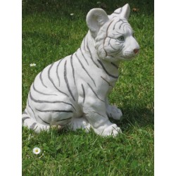 bébé tigre blanc