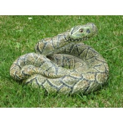 Serpent  python