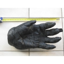 Reproduction d'une main de Gorille Africain