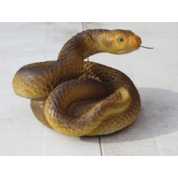 Serpent Taïpan du désert