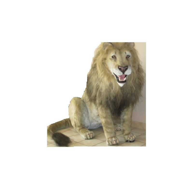 Tigre ou lion  entier taille réelle