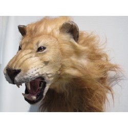 Réplique Lion