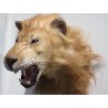Réplique Lion