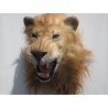 Réplique Lion