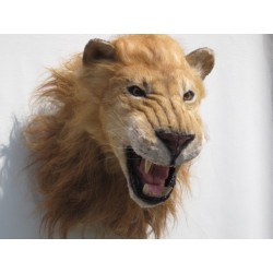 Réplique Lion