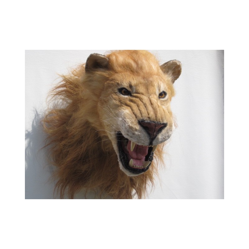 Réplique Lion