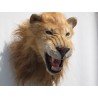 Réplique Lion