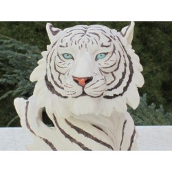 Trophée  tigre blanc