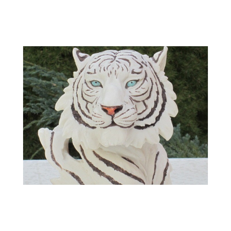 Trophée  tigre blanc