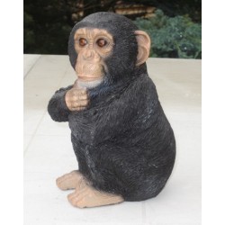 bébé chimpanzé
