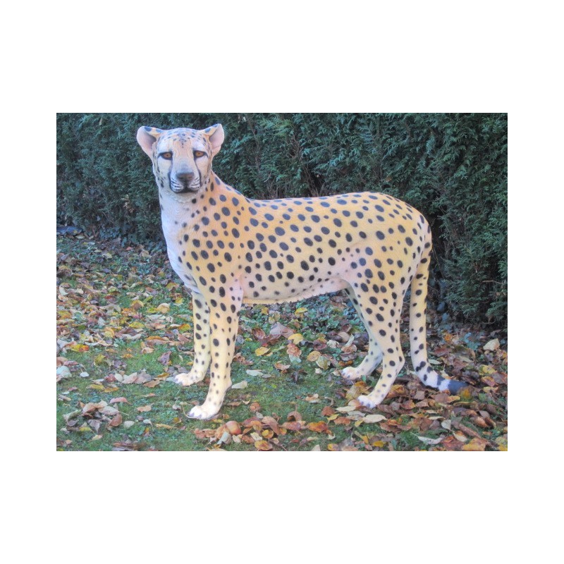 Haut à nouer sur le devant pour fee - Nuisette à iprié guépard