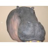 Réplique hippopotame en résine  taille réelle.