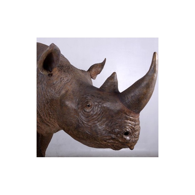 Réplique rhinocéros noir taille réelle.