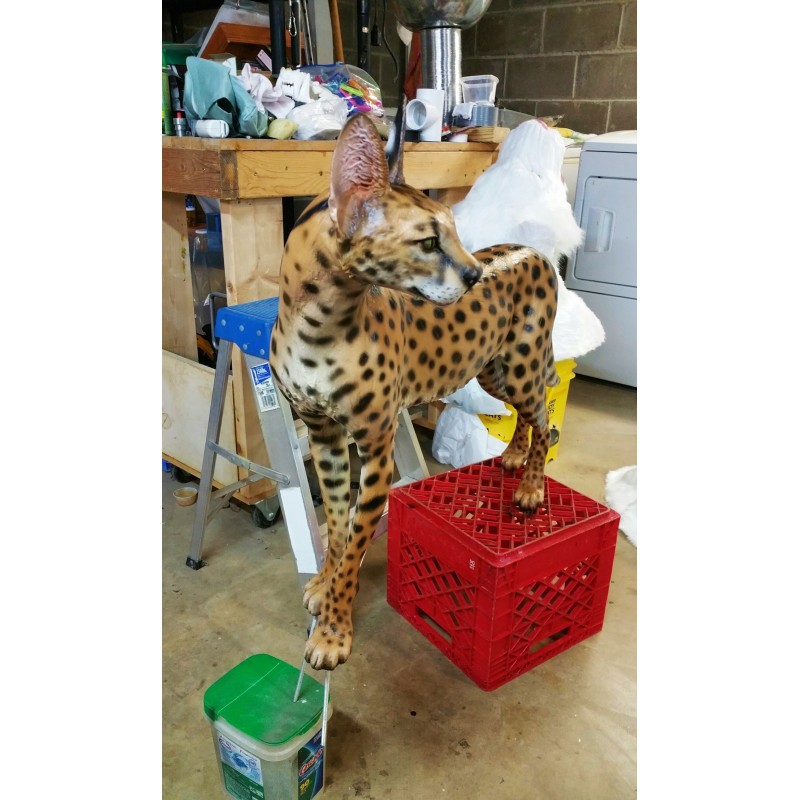 Icône de couleur de tête de cerf Symbole de trophée de chasseur