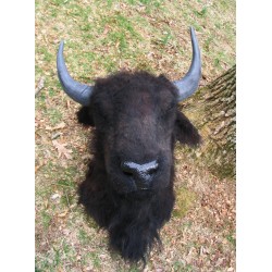 réplique tête bison taille réelle