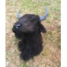 réplique tête bison taille réelle