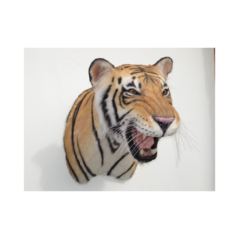 Tigre du Bengal