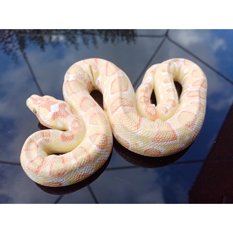 python PVC