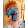 Orang-outan mâle en résine