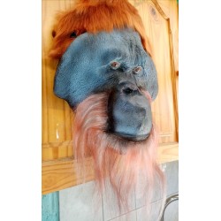 Orang-outan mâle en résine