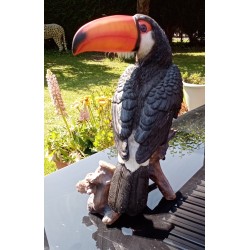 Réplique toucan résine