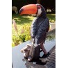 Réplique toucan résine