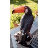 Réplique toucan résine