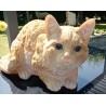 chat domestique