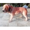 Statue chien Saint bernard