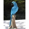 Réplique perroquet Ara hyacinthe résine