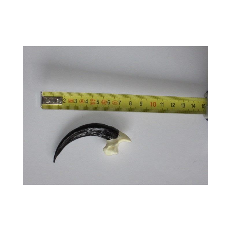 Pack De 5 Leurres Eagle Claw Tungsten Artic Jig - Taille 10, 1/12 Oz - Assortiment Couleurs